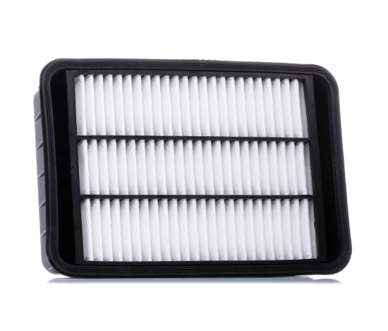 Picture of Air Filter for Peugeot 4007 (02/2007 - 03/2013)