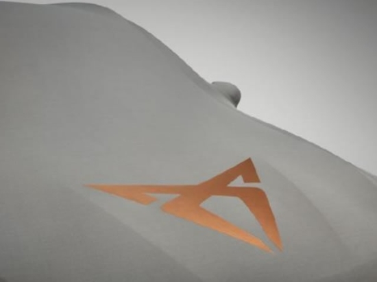 Picture of Car Cover Cupra Leon