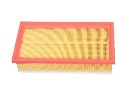 Picture of Air Filter Peugeot 407