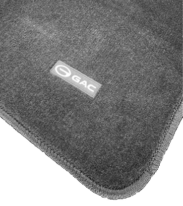 Picture of Carpet Floor Mats Set for GAC Aion UT